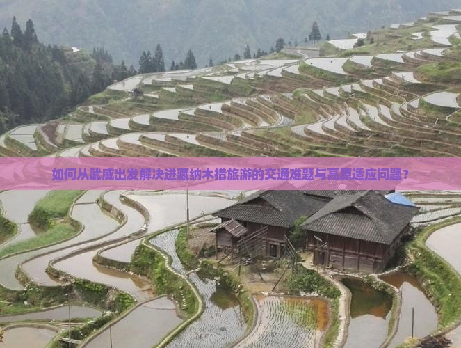 如何从武威出发解决进藏纳木措旅游的交通难题与高原适应问题？