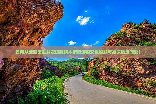如何从武威出发解决进藏纳木措旅游的交通难题与高原适应问题？