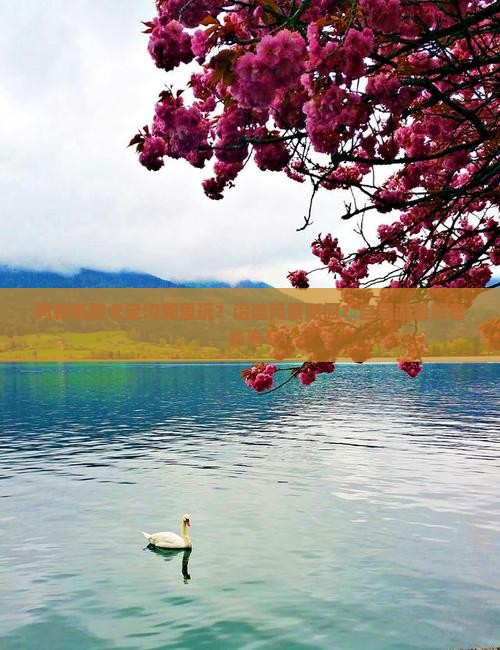阿勒泰到卡定沟哪里玩？沿途风景如何？自驾游爱好者必看！