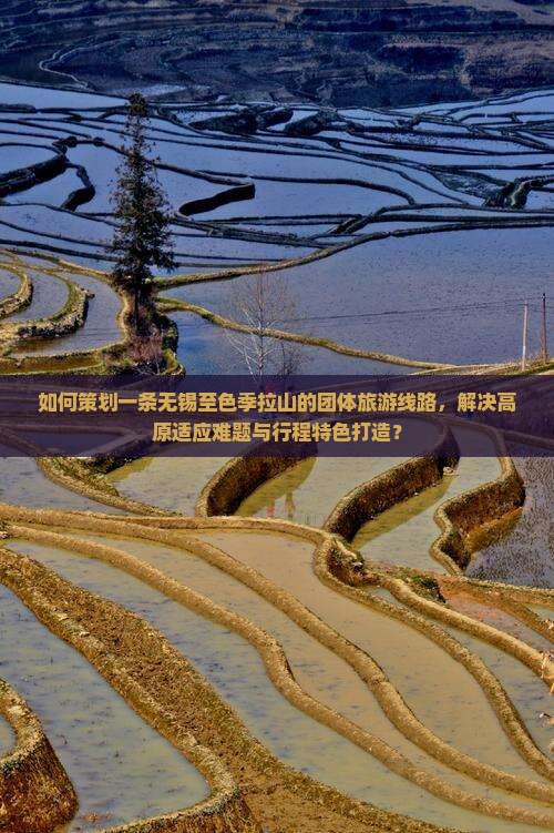 如何策划一条无锡至色季拉山的团体旅游线路，解决高原适应难题与行程特色打造？