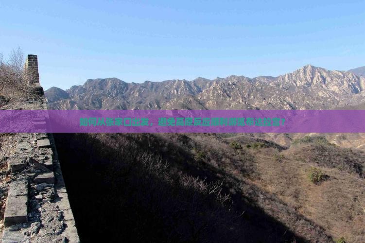 如何从张家口出发，避免高原反应顺利游览布达拉宫？