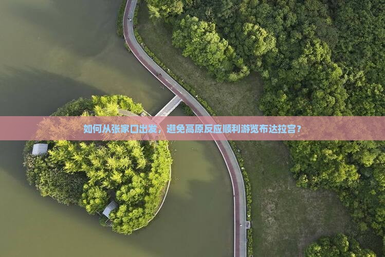 如何从张家口出发，避免高原反应顺利游览布达拉宫？