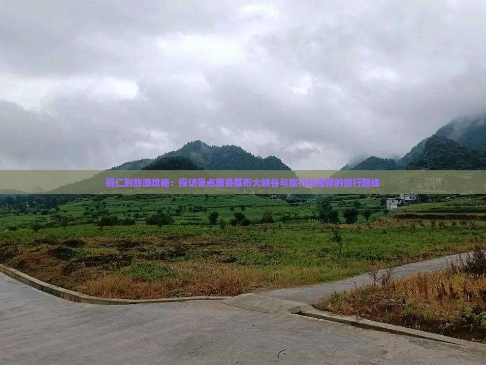 铜仁到旅游攻略：探访景点雅鲁藏布大峡谷与旅行社推荐的旅行路线