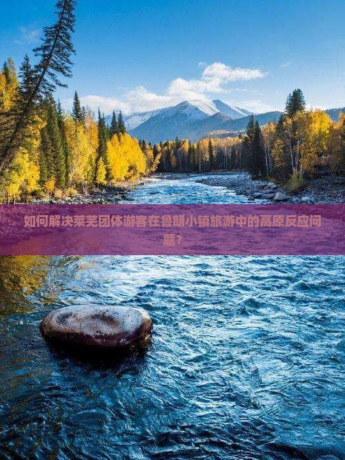 如何解决莱芜团体游客在鲁朗小镇旅游中的高原反应问题？