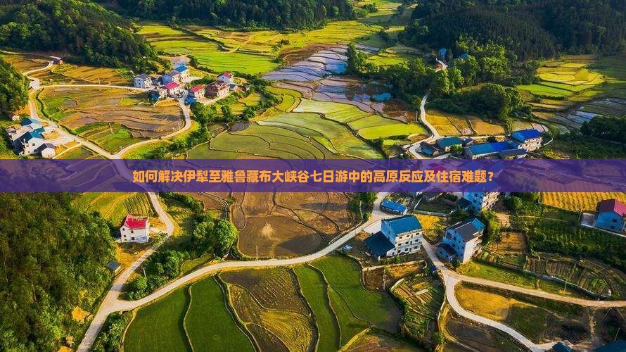 如何解决伊犁至雅鲁藏布大峡谷七日游中的高原反应及住宿难题？