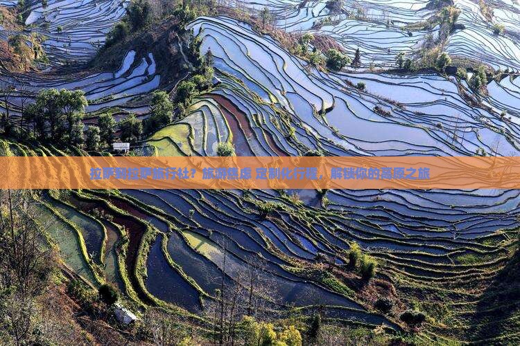 拉萨到拉萨旅行社？旅游焦虑+定制化行程，解锁你的高原之旅