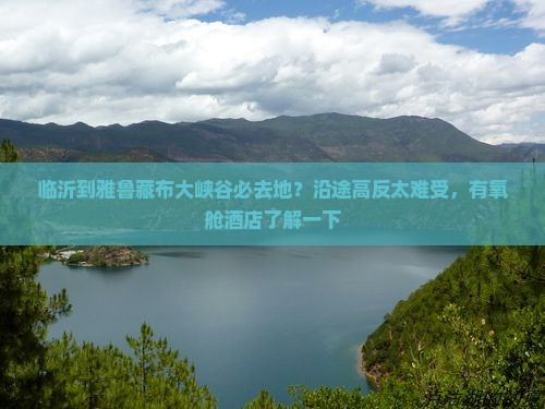 临沂到雅鲁藏布大峡谷必去地？沿途高反太难受，有氧舱酒店了解一下