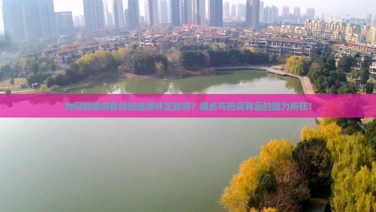 为何鹤壁游客纷纷选择林芝旅游？痛点与热词背后的魅力所在！