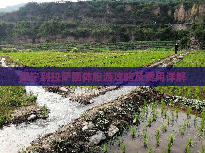 西宁到拉萨团体旅游攻略及费用详解