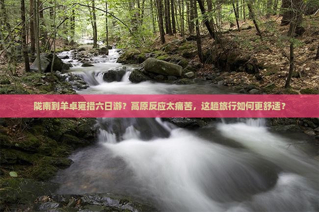 陇南到羊卓雍措六日游？高原反应太痛苦，这趟旅行如何更舒适？