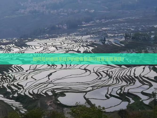 如何规划曲靖至拉萨的团体旅游行程及注意事项？