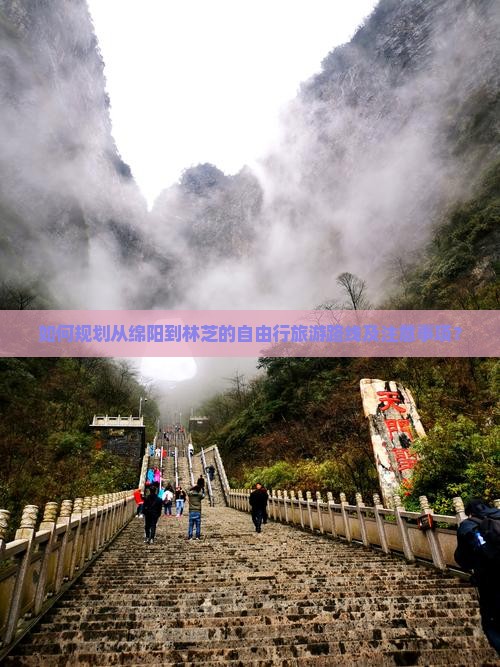 如何规划从绵阳到林芝的自由行旅游路线及注意事项？