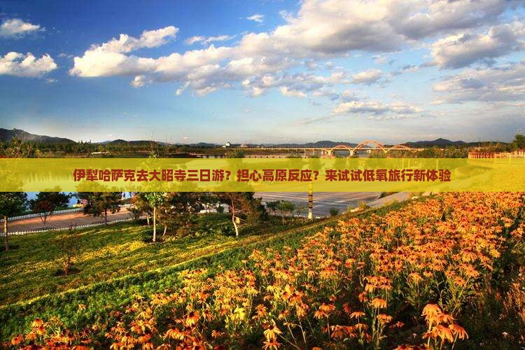 伊犁哈萨克去大昭寺三日游？担心高原反应？来试试低氧旅行新体验