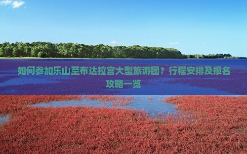 如何参加乐山至布达拉宫大型旅游团？行程安排及报名攻略一览