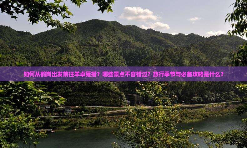 如何从鹤岗出发前往羊卓雍措？哪些景点不容错过？旅行季节与必备攻略是什么？