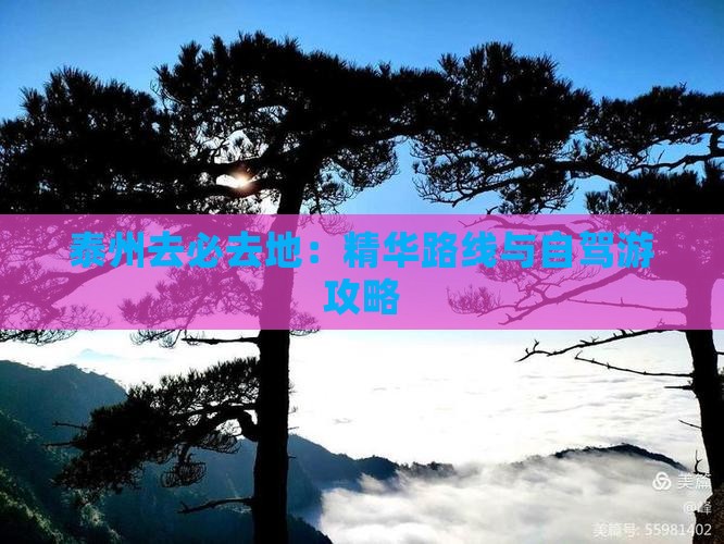 泰州去必去地：精华路线与自驾游攻略