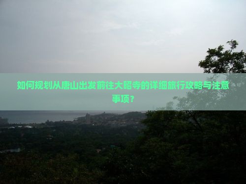如何规划从唐山出发前往大昭寺的详细旅行攻略与注意事项？