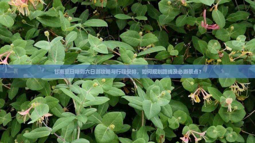 甘南至日喀则六日游攻略与行程安排，如何规划路线及必游景点？