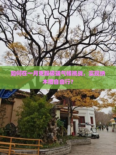 如何在一月克服极端气候挑战，实现纳木措自由行？