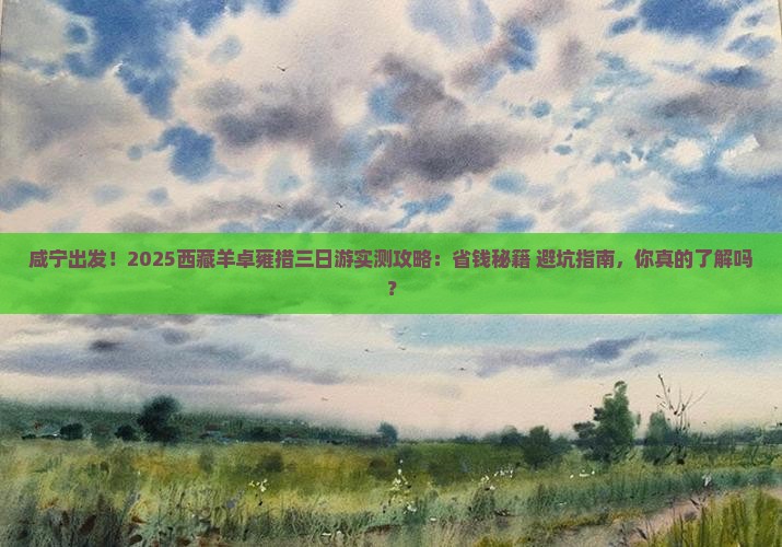 咸宁到西藏羊卓雍措三日游