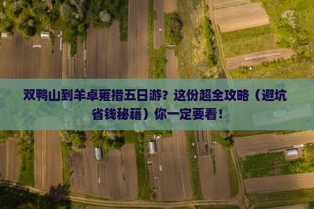 双鸭山到西藏羊卓雍措五日游