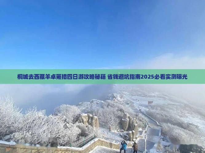 桐城去西藏羊卓雍措四日游