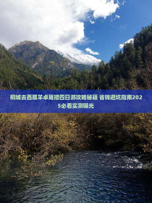 桐城去西藏羊卓雍措四日游