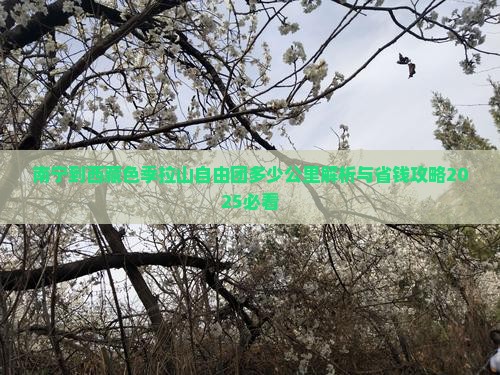 南宁到西藏色季拉山自由团