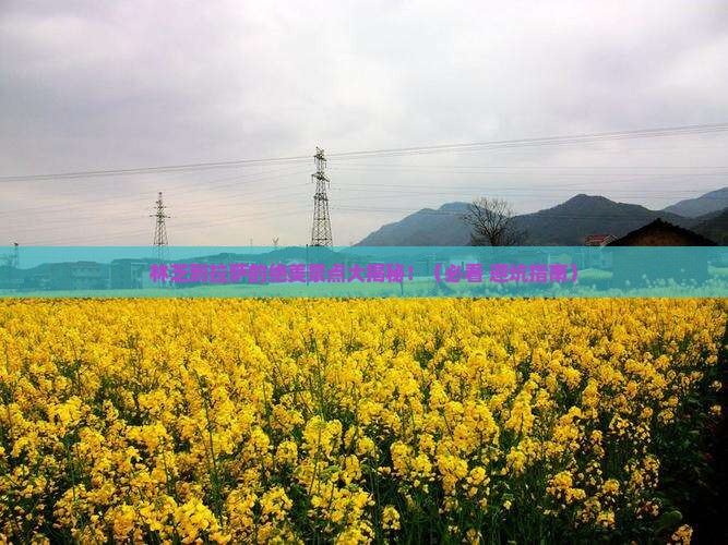 林芝到西藏拉萨景点