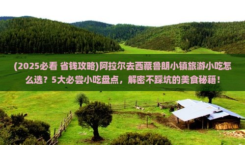 阿拉尔去西藏鲁朗小镇旅游小吃