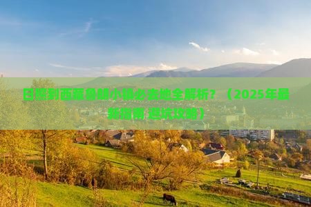日照到西藏鲁朗小镇必去地