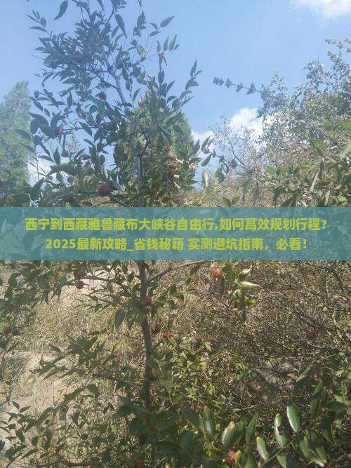 西宁到西藏雅鲁藏布大峡谷自由行