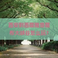 西安到西藏雅鲁藏布大峡谷攻略