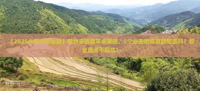 朔州去西藏羊卓雍措必去地