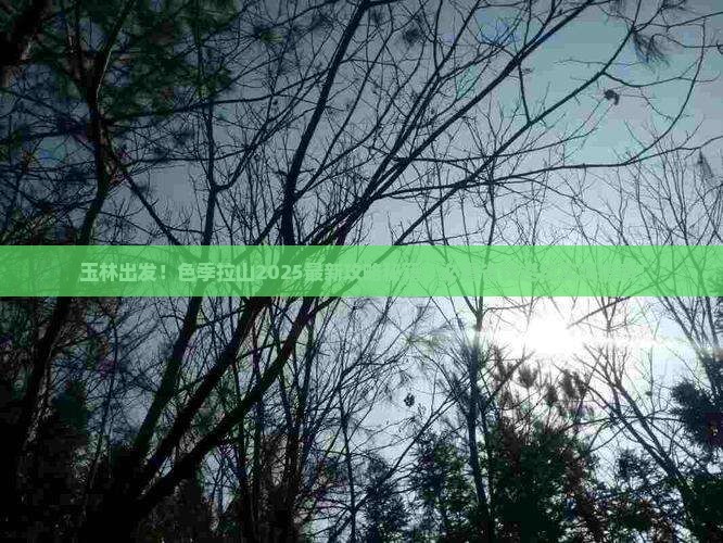 玉林去西藏色季拉山团体旅游