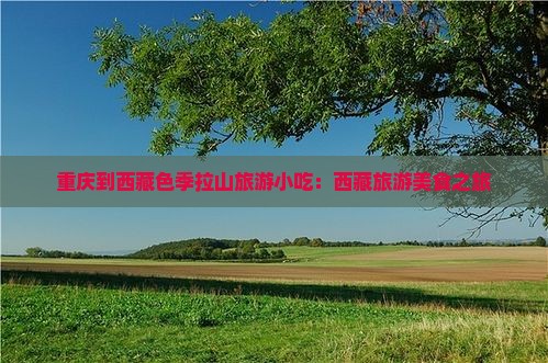 重庆到西藏色季拉山旅游小吃
