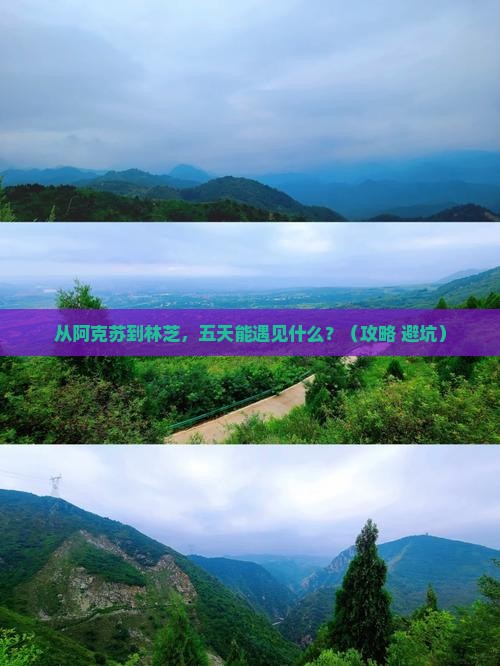 阿克苏去西藏林芝五日游
