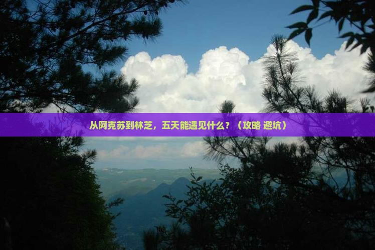 阿克苏去西藏林芝五日游