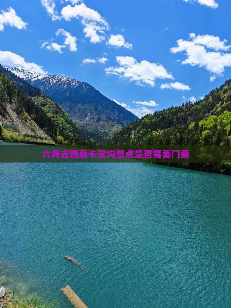 六月去西藏卡定沟景点