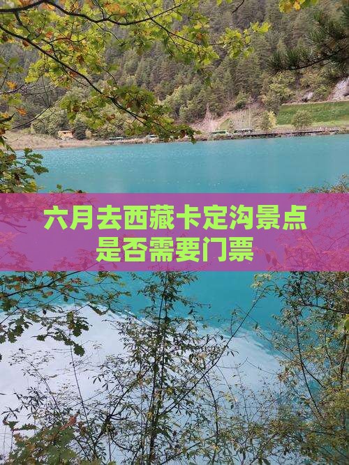 六月去西藏卡定沟景点