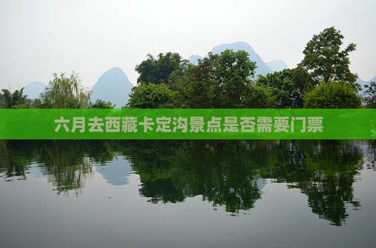 六月去西藏卡定沟景点