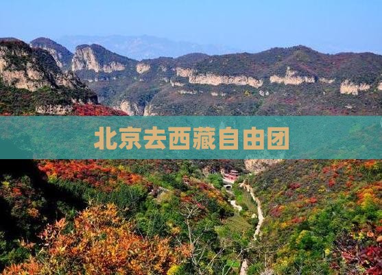 北京去西藏自由团