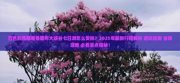 百色到西藏雅鲁藏布大峡谷七日游