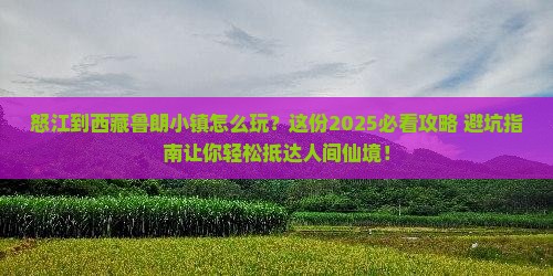 怒江到西藏鲁朗小镇旅行社
