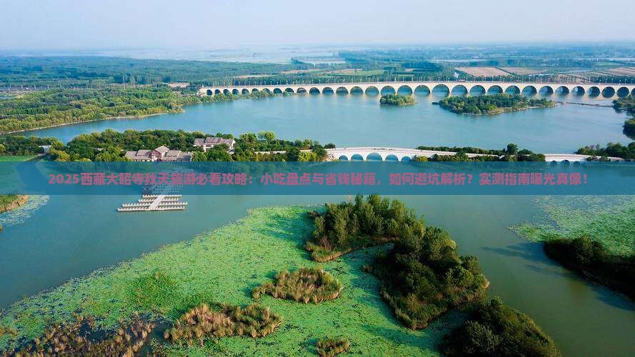秋天去西藏大昭寺旅游小吃