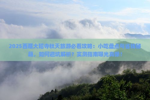 秋天去西藏大昭寺旅游小吃