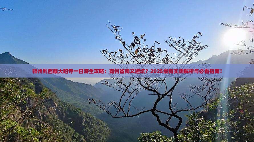赣州到西藏大昭寺一日