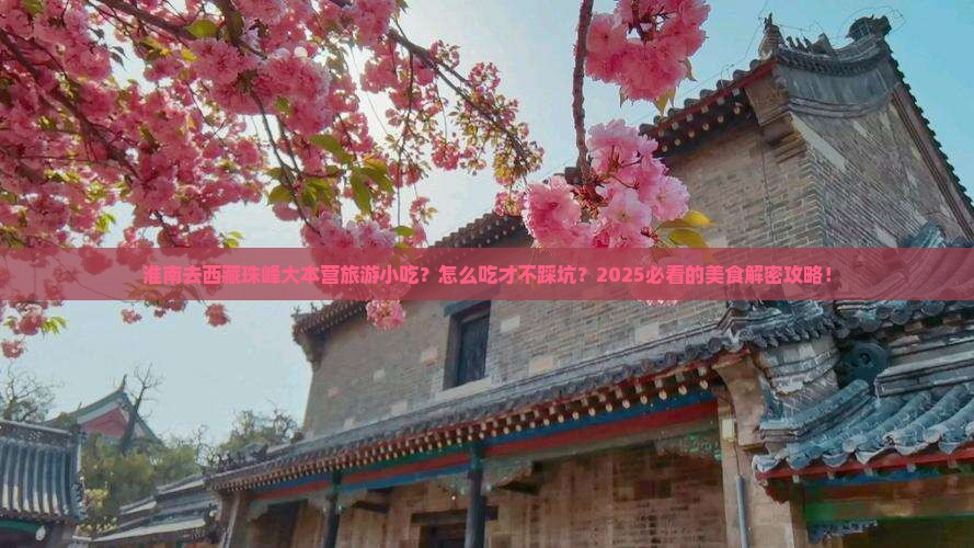 淮南去西藏珠峰大本营旅游小吃
