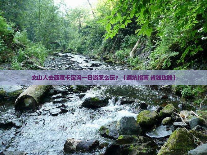 文山去西藏卡定沟一日
