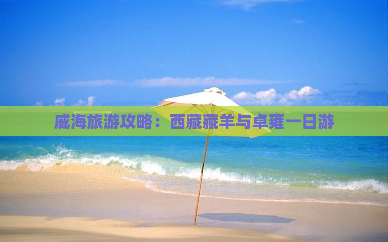 威海到西藏羊卓雍措一日